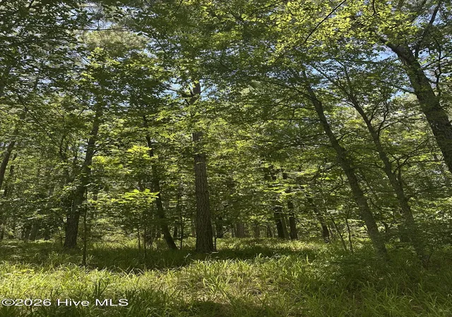 2nd image of Lot 29 Honeysuckle Trail, Lincolnton, GA 30817 | MLS# 100578506