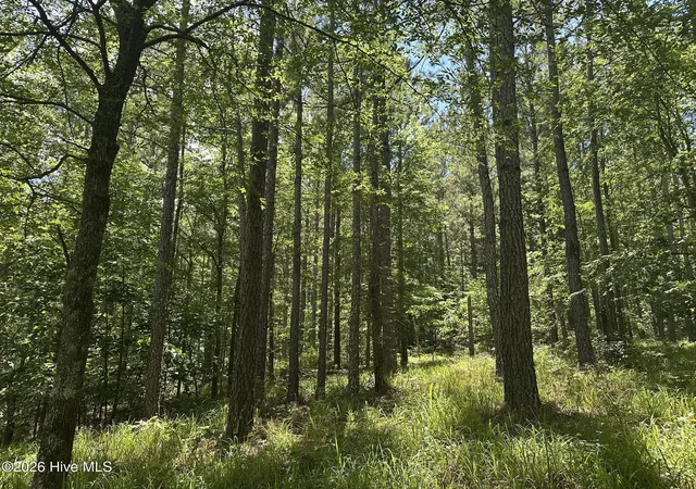 3rd image of Lot 29 Honeysuckle Trail, Lincolnton, GA 30817 | MLS# 100578506