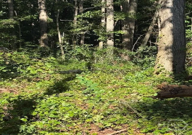 1st image of 0 Rita Ridge #LOT 6, Eatonton, GA 31024 | MLS# CL339753