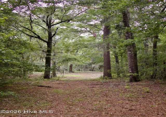 Photo 2 of Land for sale at 385 Sand Ridge Rd, New Bern, NC 28560 | MLS# 100592818 | Listing updated on 2026-08-29