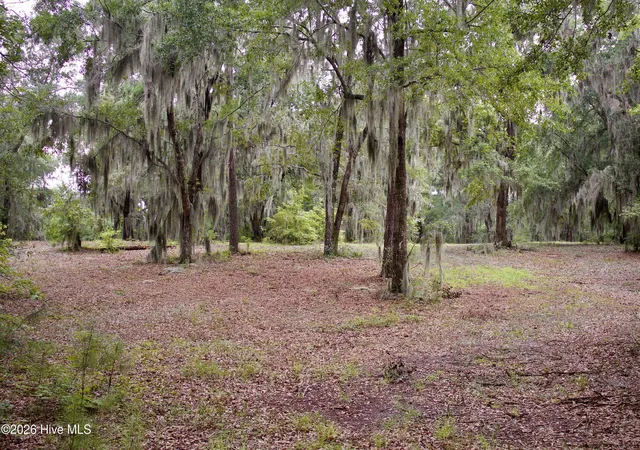 Photo 3 of Land for sale at 385 Sand Ridge Rd, New Bern, NC 28560 | MLS# 100592818 | Listing updated on 2026-08-29