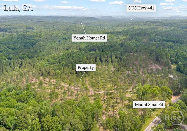 Homes for sale in Lula, GA | 0 Mt Sinai Rd #lot 1, Lula, GA 30554 | MLS# CL358839