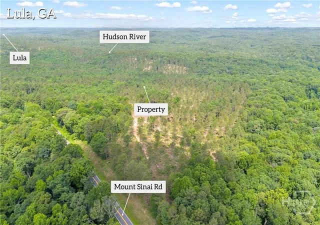 Homes for sale in Lula, GA | 0 Mt Sinai Rd #lot 1, Lula, GA 30554 | MLS# CL358839
