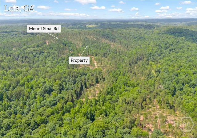 Homes for sale in Lula, GA | 0 Mt Sinai Rd #lot 1, Lula, GA 30554 | MLS# CL358839