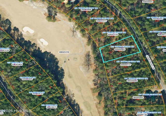 Homes for sale in Vass, NC | 433 Thimbleberry Dr, Vass, NC 28394 | MLS# 100483231