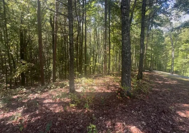 1st image of 181 Ac Nature Valley Trl, Murphy, NC 28906 | MLS# 98500168