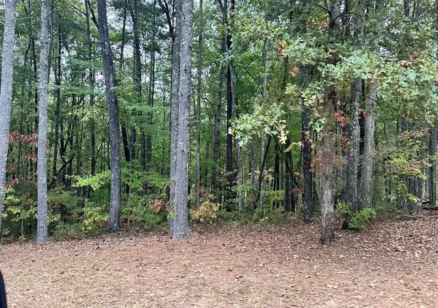 3rd image of 181 Ac Nature Valley Trl, Murphy, NC 28906 | MLS# 98500168