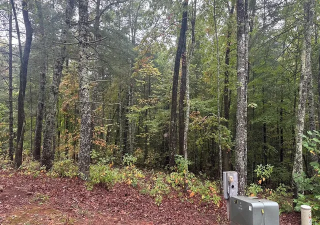 5th image of 181 Ac Nature Valley Trl, Murphy, NC 28906 | MLS# 98500168