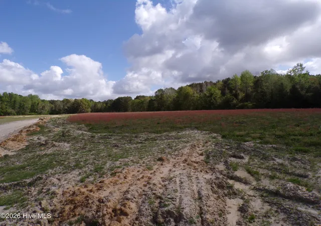3rd image of Near 158 Old Wilmington Rd, Whiteville, NC 28472 | MLS# 100565567