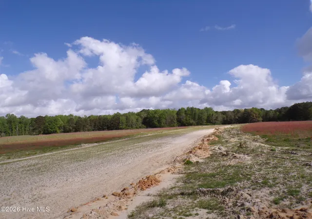 4th image of Near 158 Old Wilmington Rd, Whiteville, NC 28472 | MLS# 100565567