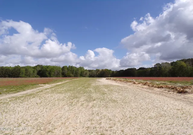 5th image of Near 158 Old Wilmington Rd, Whiteville, NC 28472 | MLS# 100565567