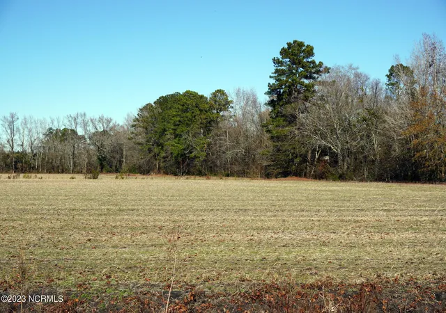 Photo 4 of House for sale at 125 Gladys St, Dover, NC 28526 | MLS# 100419305 | Listing updated on 2026-07-30