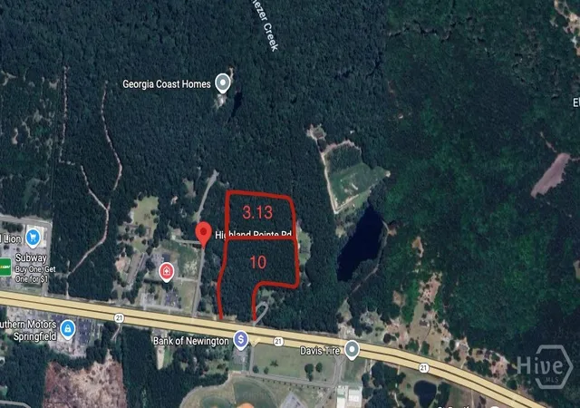 Photo 3 of Land for sale at 0 Hwy 21, Springfield, GA 31329 | MLS# SA342214 | Listing updated on 2025-10-22