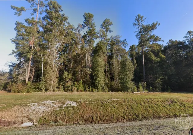 Photo 4 of Land for sale at 0 Hwy 21, Springfield, GA 31329 | MLS# SA342214 | Listing updated on 2025-10-22