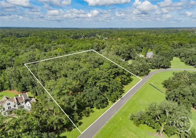 Photo 4 of Land for sale at 299 Ford Pl, Richmond Hill, GA 31324 | MLS# SA341455 | Listing updated on 2026-07-07