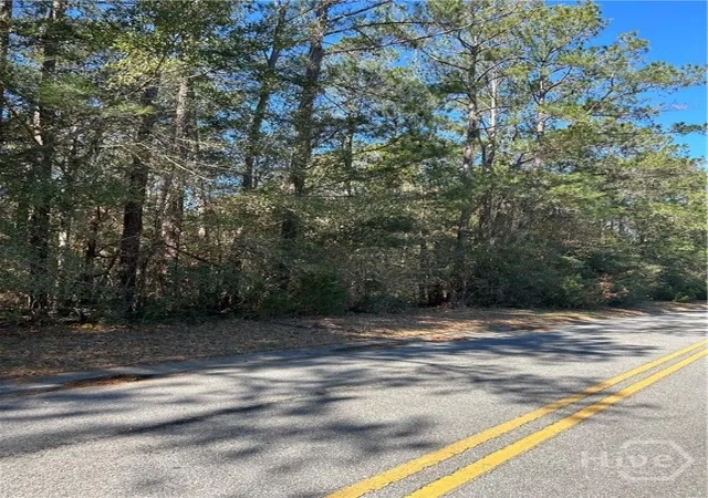 Homes for sale in Midway, GA | Lot 4 Palm Island Dr, Midway, GA 31320 | MLS# SA349392