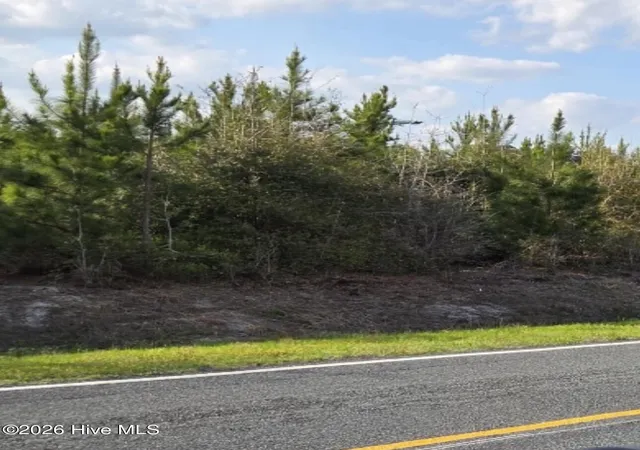 1st image of Near 731 Macedonia Church Rd, Evergreen, NC 28438 | MLS# 100564556