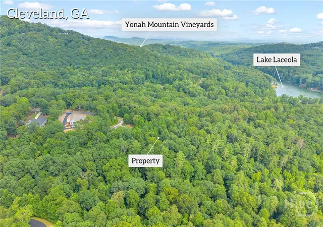 Homes for sale in Cleveland, GA | 25 Forked Leaf Rd, Cleveland, GA 30528 | MLS# CL359154