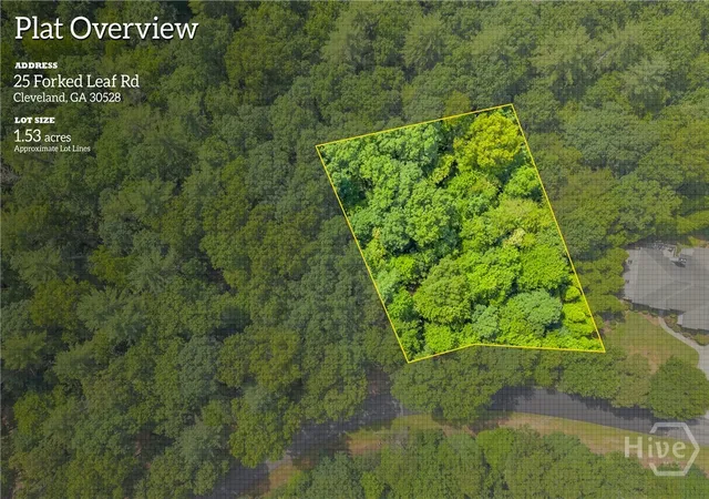 Homes for sale in Cleveland, GA | 25 Forked Leaf Rd, Cleveland, GA 30528 | MLS# CL359154