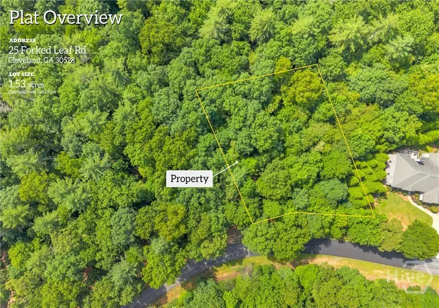 Homes for sale in Cleveland, GA | 25 Forked Leaf Rd, Cleveland, GA 30528 | MLS# CL359154