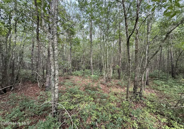 Homes for sale in Belhaven, NC | 2162 Old Pamlico Beach Rd W, Belhaven, NC 27810 | MLS# 100548671