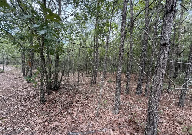 Homes for sale in Belhaven, NC | 2162 Old Pamlico Beach Rd W, Belhaven, NC 27810 | MLS# 100548671