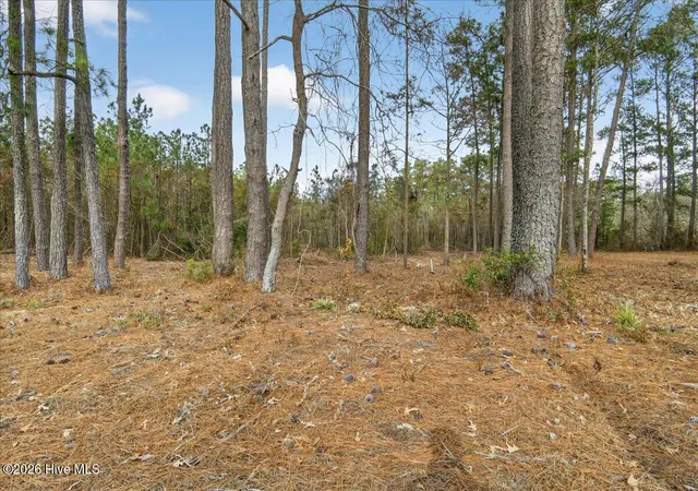 Homes for sale in Belhaven, NC | 2162 Old Pamlico Beach Rd W, Belhaven, NC 27810 | MLS# 100548671