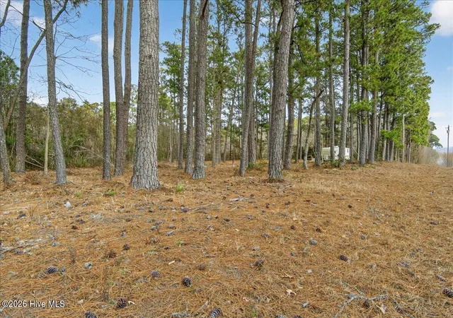 Homes for sale in Belhaven, NC | 2162 Old Pamlico Beach Rd W, Belhaven, NC 27810 | MLS# 100548671