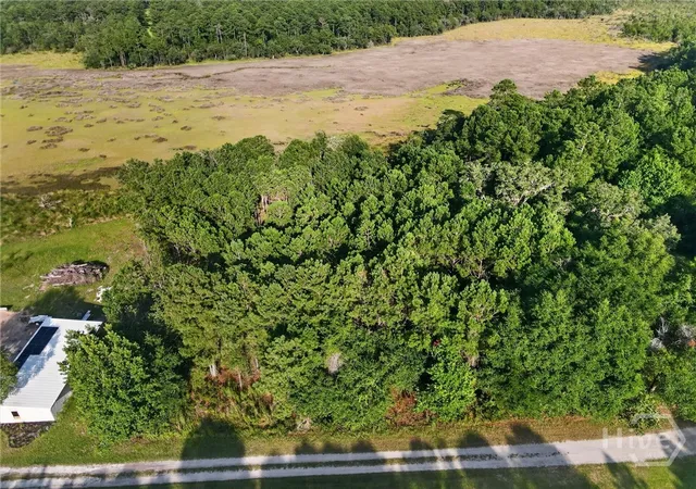 Photo 2 of Land for sale at Lot #23 Barnstorm Rd Ne, Townsend, GA 31331 | MLS# SA360164 | Listing updated on 2026-10-09