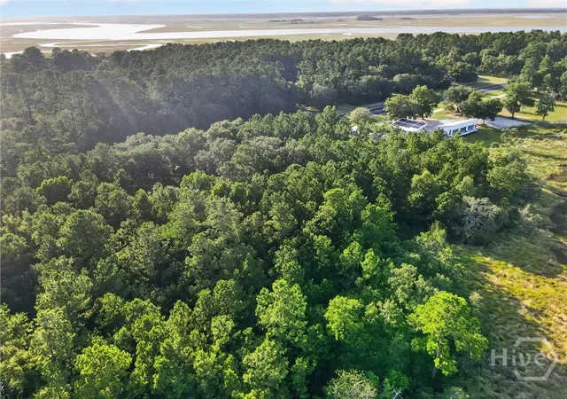 Photo 3 of Land for sale at Lot #23 Barnstorm Rd NE, Townsend, GA 31331 | MLS# SA360164 | Listing updated on 2026-10-09