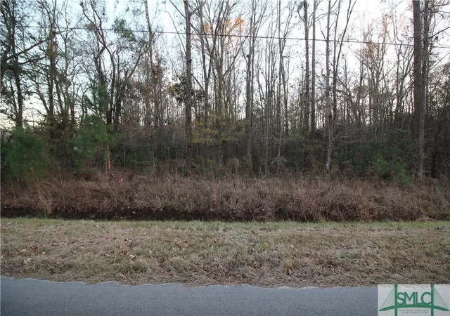 Photo 1 of Land for sale at 366 Big Ests Cir, Yemassee, SC 29945 | MLS# SA324892 | Listing updated on 2026-10-08