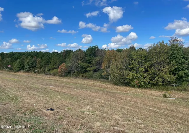 Photo 3 of Land for sale at 1c Dunn Rd Ext, Roseboro, NC 28382 | MLS# 100590536 | Listing updated on 2026-07-24