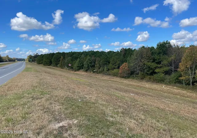Photo 4 of Land for sale at 1c Dunn Rd Ext, Roseboro, NC 28382 | MLS# 100590536 | Listing updated on 2026-07-24