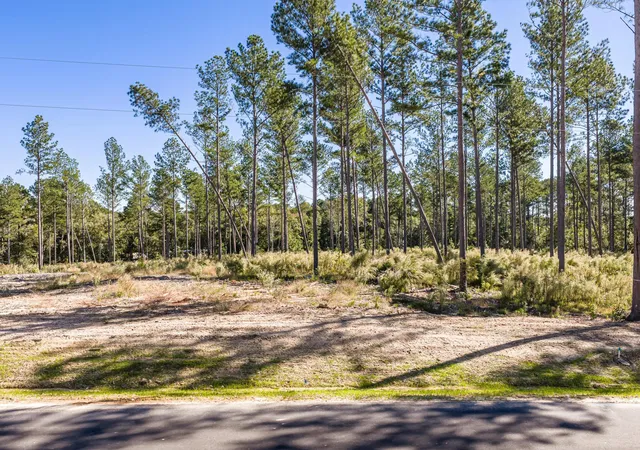 Photo 4 of Land for sale at 127 Beagle Chase Dr, Appling, GA 30802 | MLS# 98224883 | Listing updated on 2026-05-12