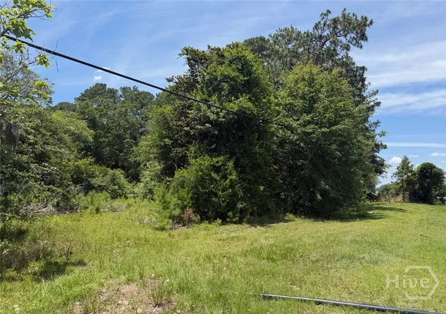Photo 3 of Land for sale at 5868/5864 Highway 21, Rincon, GA 31326 | MLS# SA357976 | Listing updated on 2026-06-12