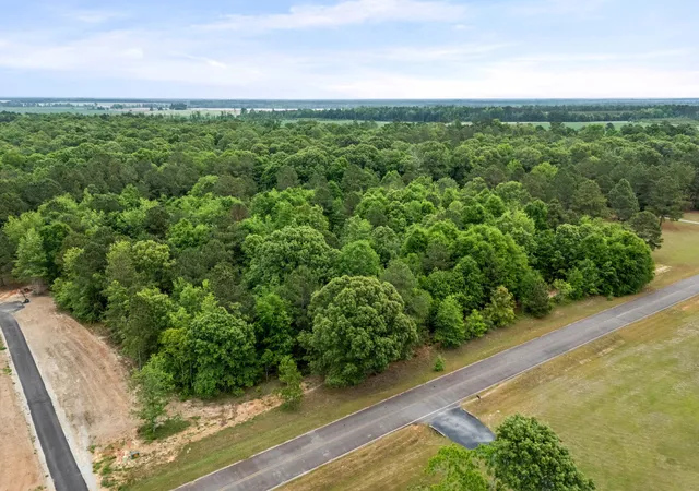 Homes for sale in Stapleton, GA | 0 Sylvan Grove Rd, Stapleton, GA 30823 | MLS# 98256827