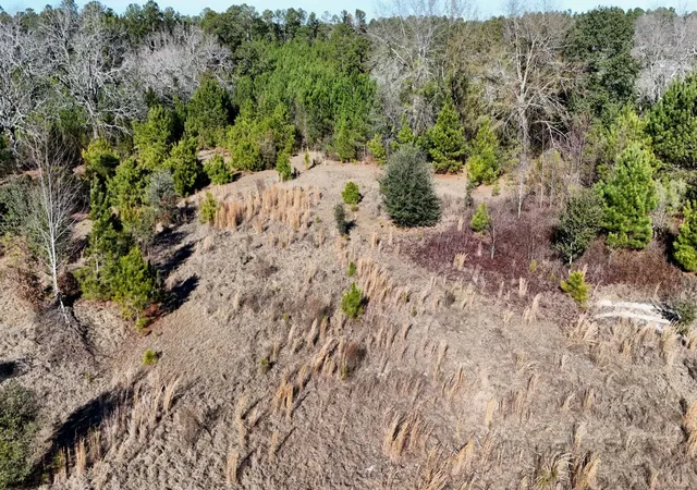 4th image of 301 Fairway Dr, New Ellenton, SC 29809 | MLS# 98254854