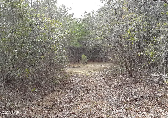 Photo 11 of Land for sale at D08-67 John Pollock Rd, Grantsboro, NC 28529 | MLS# 100320500 | Listing updated on 2026-03-02