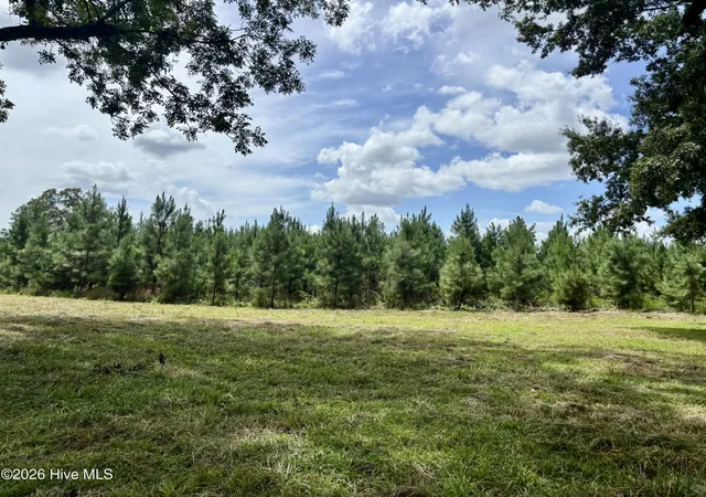 Photo 3 of Land for sale at Tbd Roberdel School Rd, Rockingham, NC 28379 | MLS# 100594180 | Listing updated on 2026-08-08