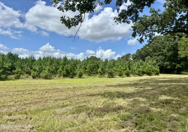 Photo 3 of Land for sale at Tbd Roberdel School Rd, Rockingham, NC 28379 | MLS# 100594180 | Listing updated on 2026-08-08