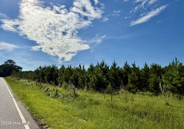 Photo 4 of Land for sale at Tbd Roberdel School Rd, Rockingham, NC 28379 | MLS# 100594180 | Listing updated on 2026-08-08