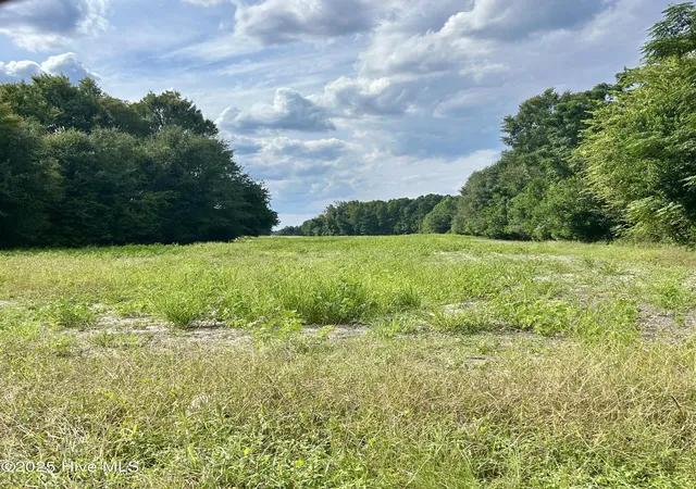 Photo 1 of Land for sale at Tr #2 Mcqueen Rd, Laurinburg, NC 28352 | MLS# 100532384 | Listing updated on 2026-07-28