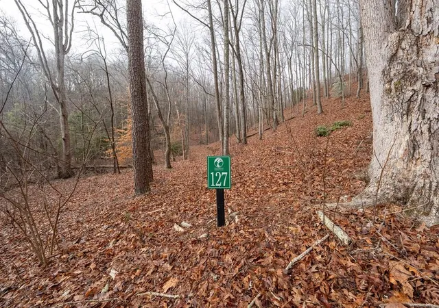 Photo 2 of Land for sale at Lot 127 Serene Pond Trl, Murphy, NC 28906 | MLS# 98523106 | Listing updated on 2026-07-25