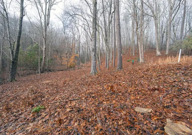 Photo 3 of Land for sale at Lot 127 Serene Pond Trl, Murphy, NC 28906 | MLS# 98523106 | Listing updated on 2026-07-25
