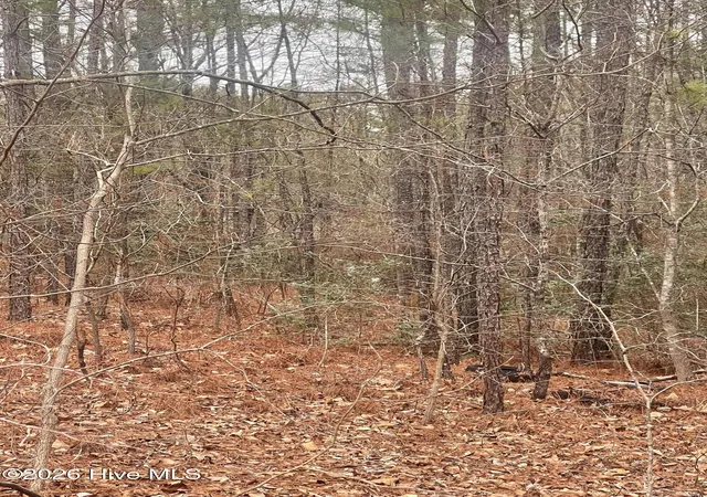 Photo 3 of Land for sale at Lot 7 Bumpy Ln, Sanford, NC 27332 | MLS# 100590914 | Listing updated on 2026-09-21