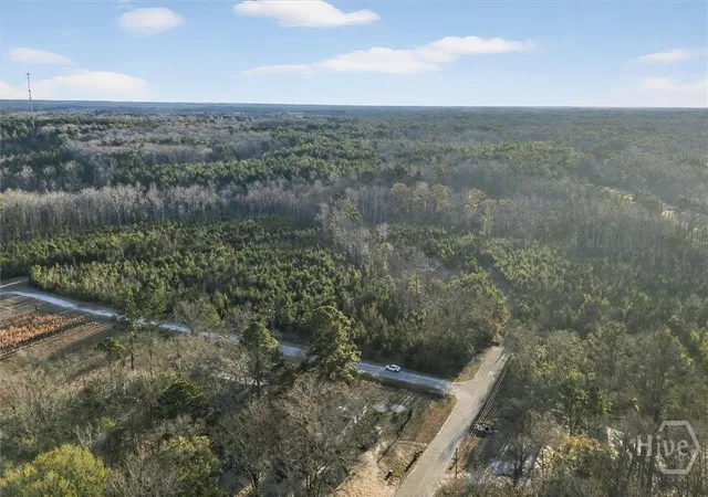 Homes for sale in Sardis, GA | 0 Greenhill Dr, Sardis, GA 30456 | MLS# SA346583
