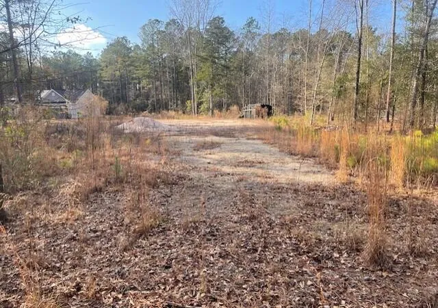 Homes for sale in Stapleton, GA | Lot 32 Stapleton Acres Dr, Stapleton, GA 30823 | MLS# 98254491