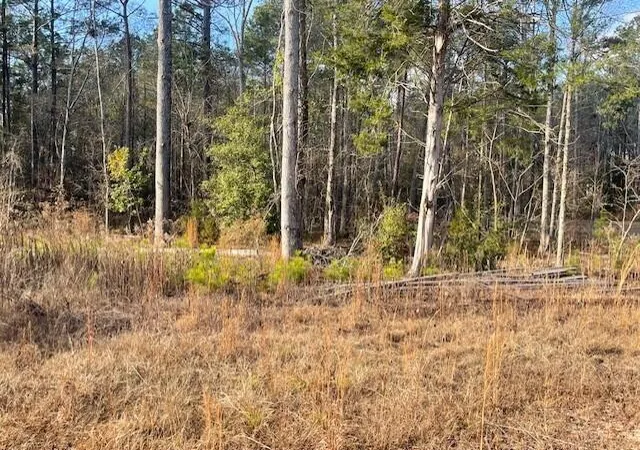 Homes for sale in Stapleton, GA | Lot 32 Stapleton Acres Dr, Stapleton, GA 30823 | MLS# 98254491