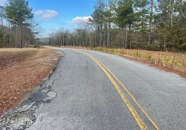 Homes for sale in Stapleton, GA | Lot 32 Stapleton Acres Dr, Stapleton, GA 30823 | MLS# 98254491