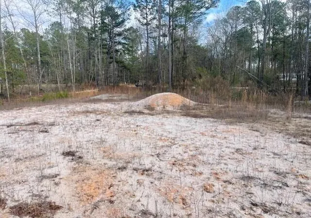 Homes for sale in Stapleton, GA | Lot 32 Stapleton Acres Dr, Stapleton, GA 30823 | MLS# 98254491